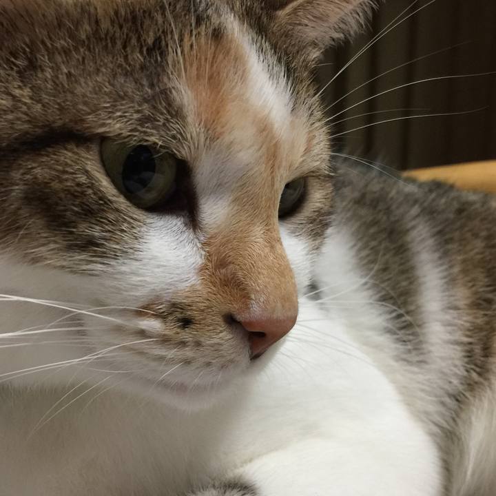 F5add9a4 e6a4 4b77 a031 d0a9752b4372