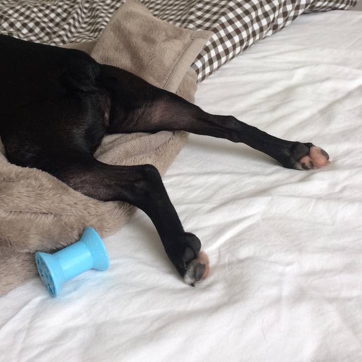 F5ae217b 4b94 4d52 a525 9673400ce5ff