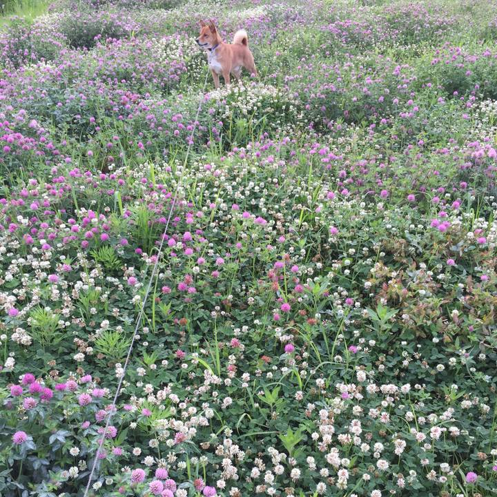 F5af76d8 ea06 46ab a0ff bbbdd94b8d2b