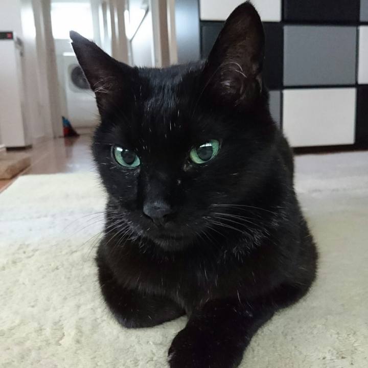 F5afd728 21ab 4235 ba5f a9f1ff689110