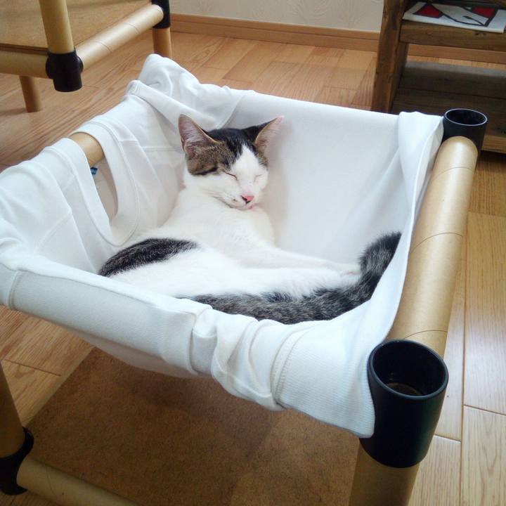 F5b0a5b8 ac85 4a2c 98a0 9f8920a3864c