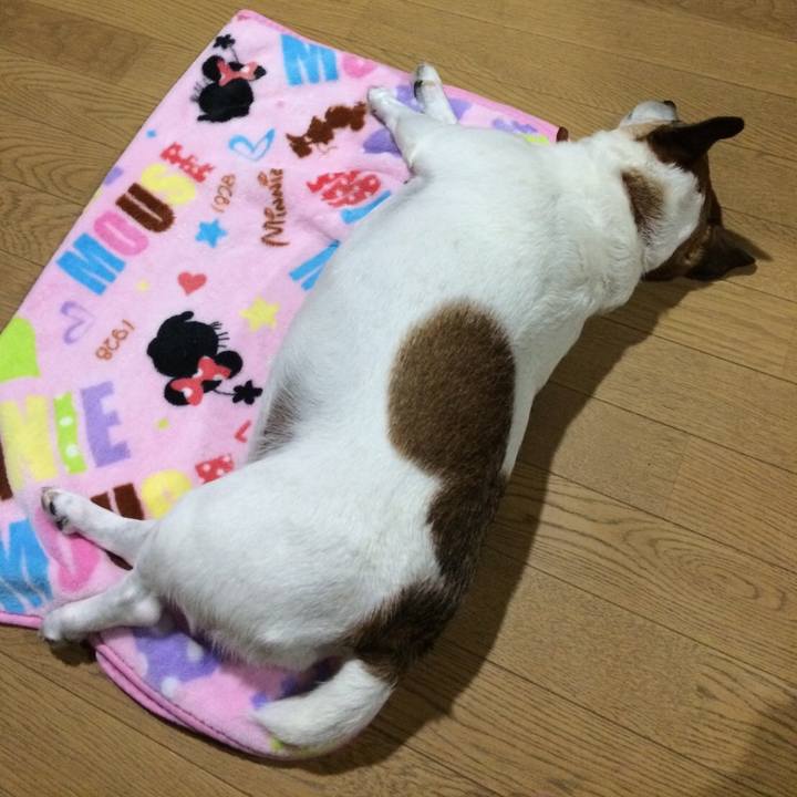 F5b15f16 efa3 4d92 836a 055e2c5b8ef8