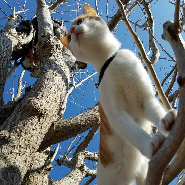 F5b18bcc 5482 4b3e be05 3206ce3f73fe