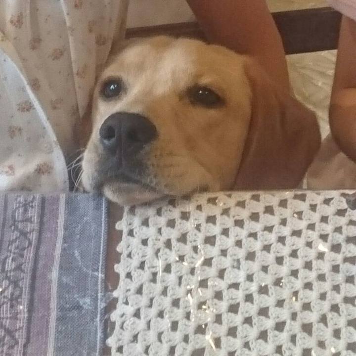 F5b1c16a e17d 4b45 a236 001207d1a6b6