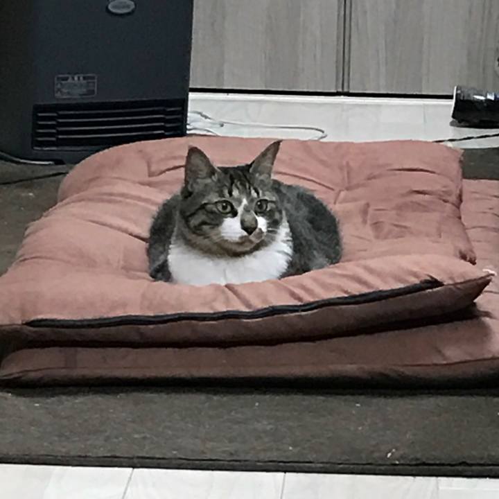 F5b1ed5f 2923 4bf3 9699 e5a19b6a2595