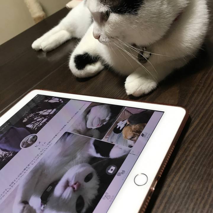 F5b1f14c b52b 4d53 ab08 4fc764f2033d