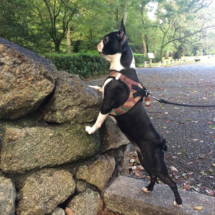 F5b203c5 2103 4cf9 9f96 e059d70dac83