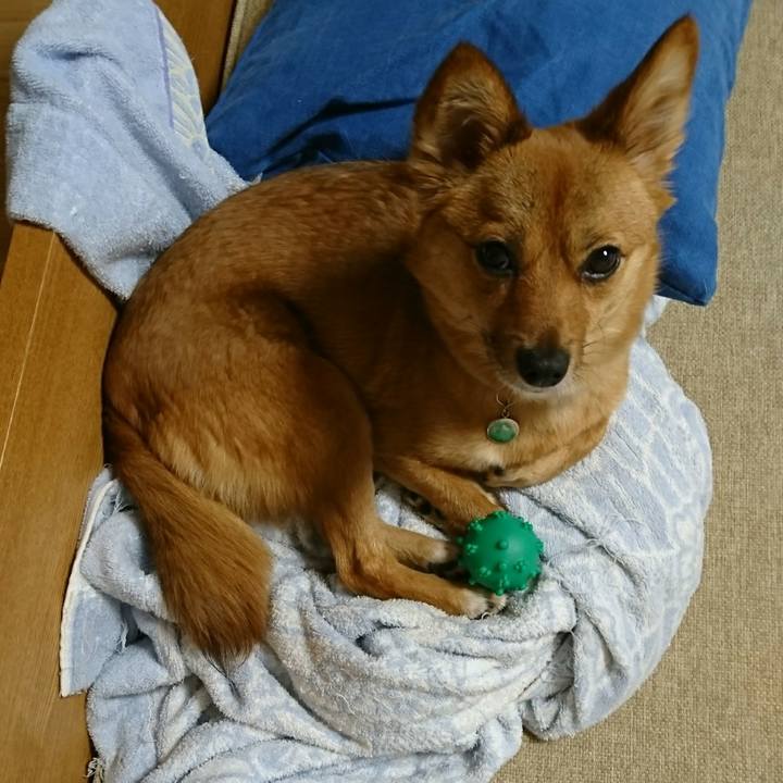 F5b2b92a ecc7 4755 aa86 6aa28b832b39