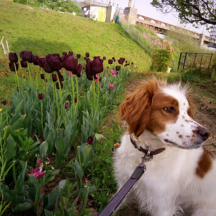 F5b2c0e0 d941 4363 a3a8 f5caaaf97e70