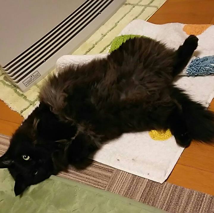 F5b300f8 119d 4b8d bfa8 5424497149ab