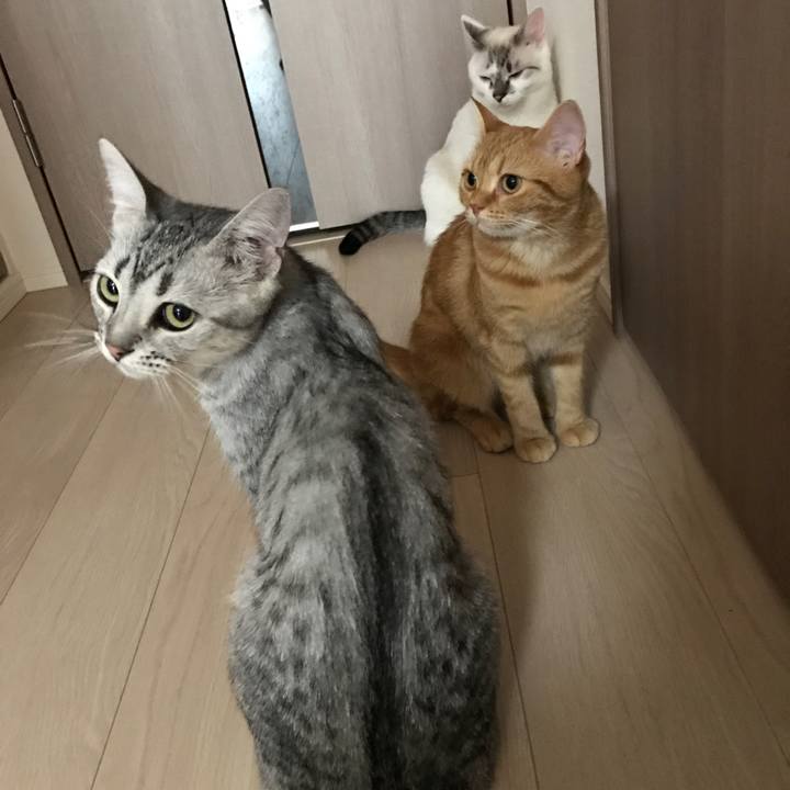 F5b3849c 1732 45a7 aeab 97413ab09076