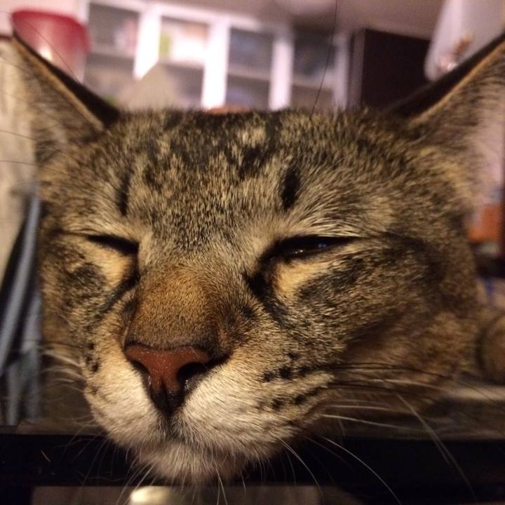 F5b3f345 5203 46a2 b3fa 426a36806c58