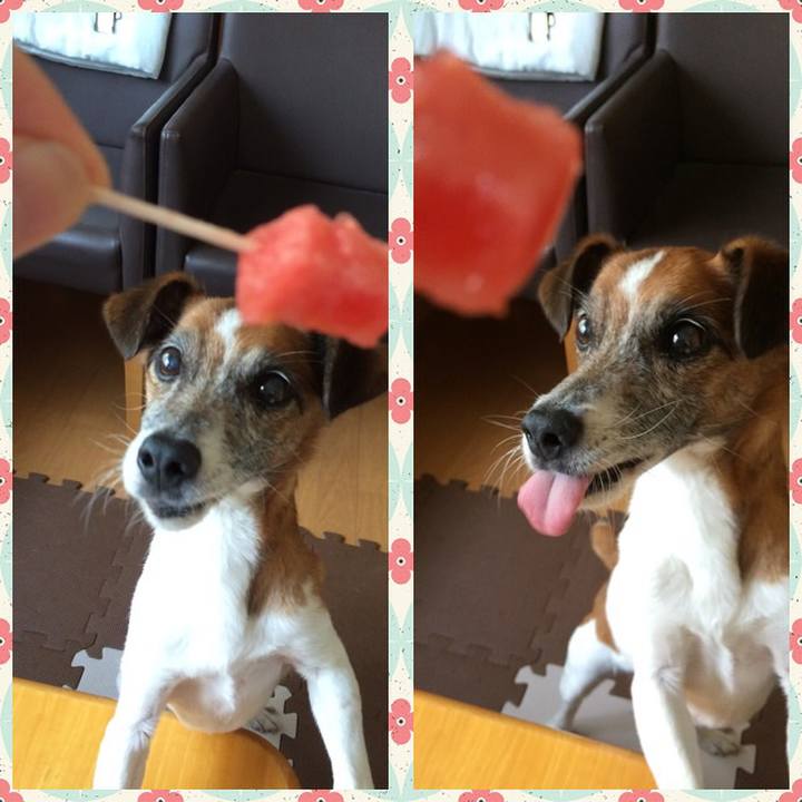 F5b453a1 2b6f 4d5b 8159 13bb5db69938