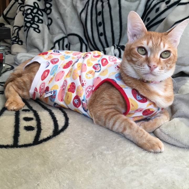 F5b584de 32fa 4bcf be51 d482ef145caa