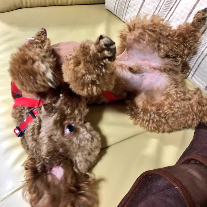 F5b58a76 263f 484a 949c 6b9ca6ff3872