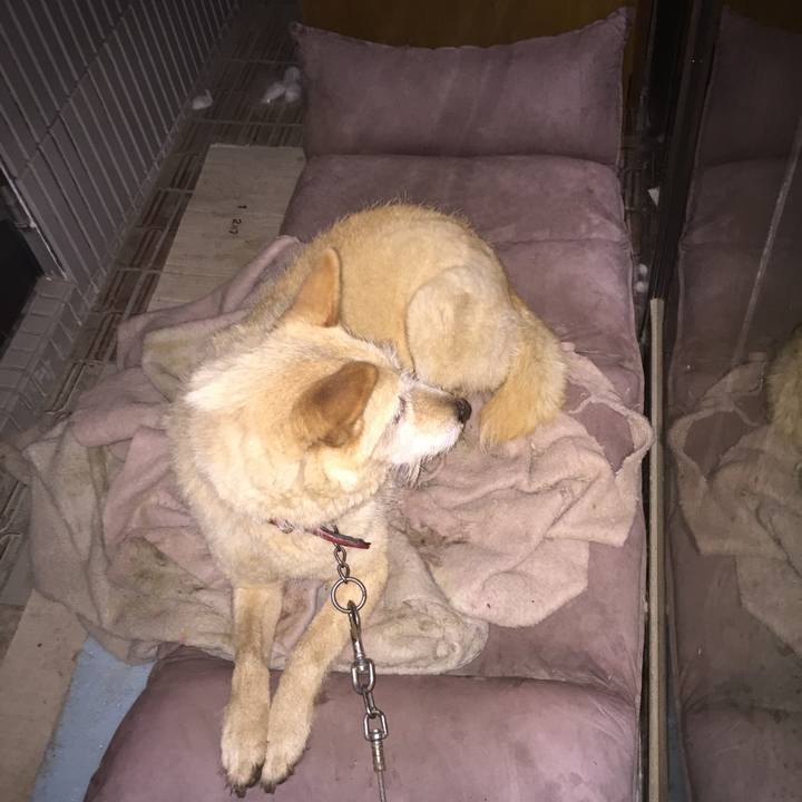 F5b5c80a 9ed1 4f38 851c 1784e93138cb