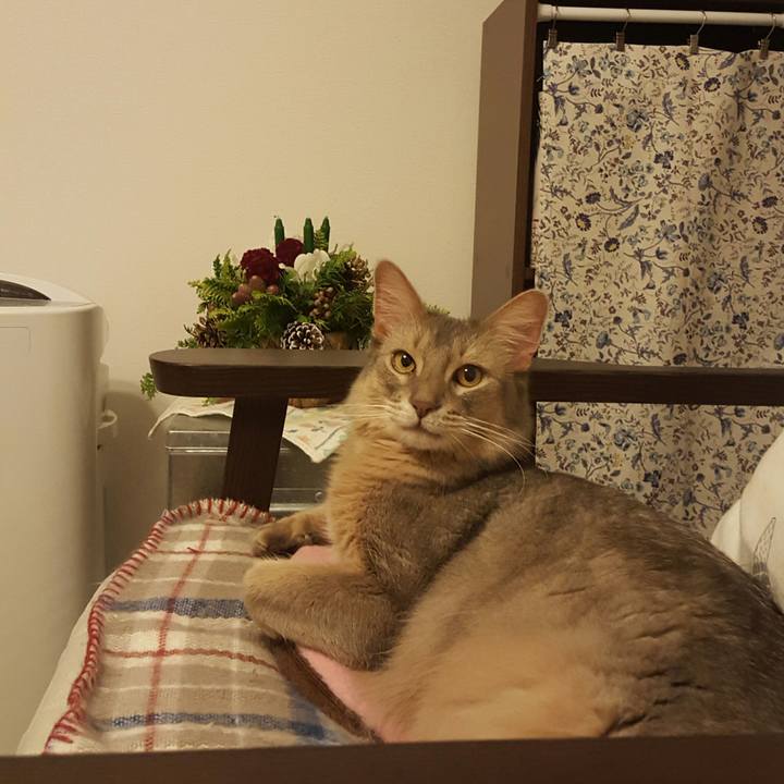 F5b67c23 58d6 459c b73d 99b3b7c47f87