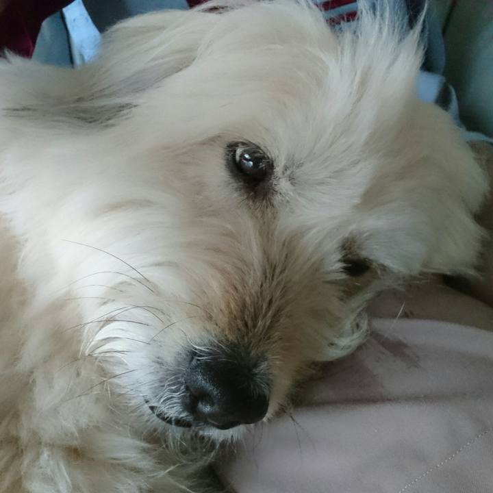 F5b6be01 6625 44f2 8c3d 1eafc7785f97