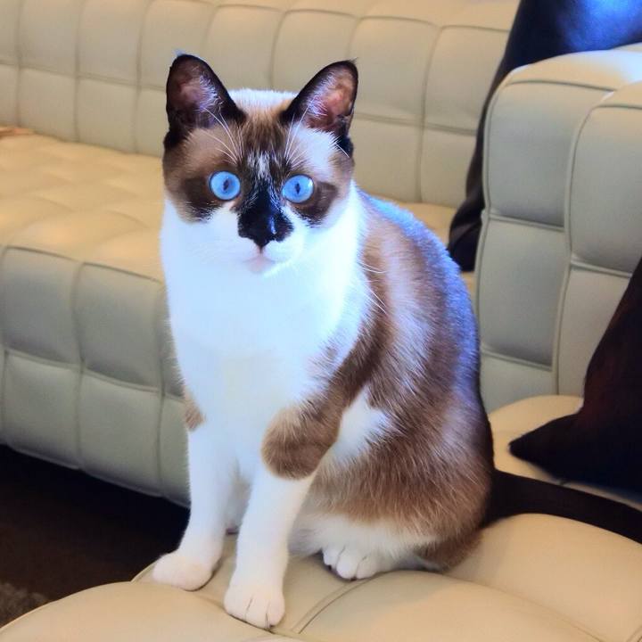 F5b6cefe c1f7 481a 8c03 e22b3aaf7408