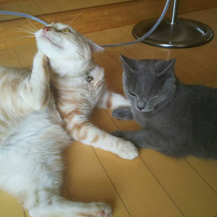 F5b6e94d eb58 4f49 831b f46af366882c