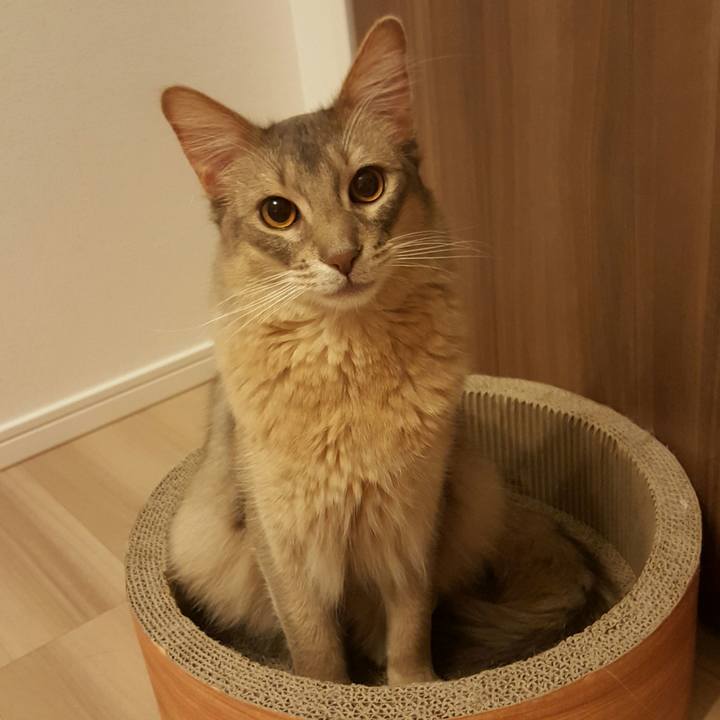 F5b70b97 2472 4ef5 8919 9528921d0e50