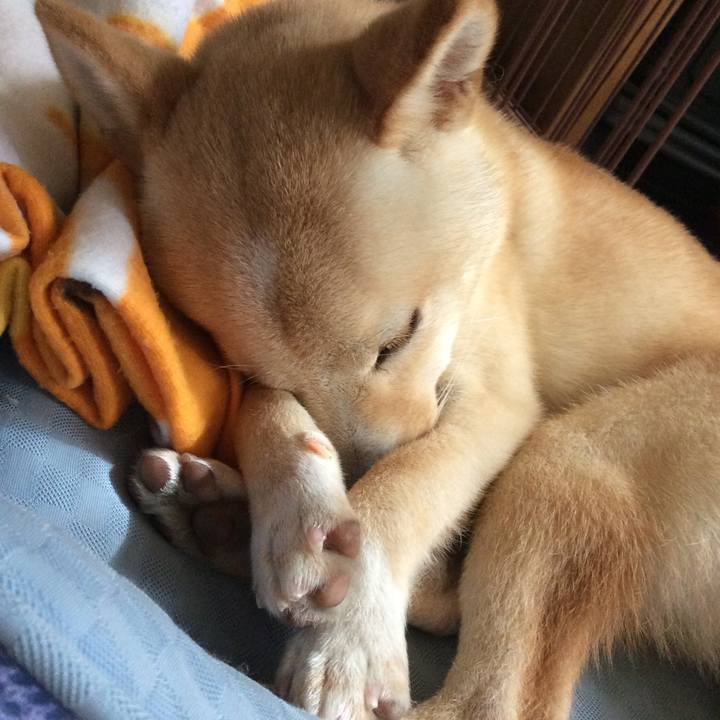 F5b80bfd 8f2d 415f ae69 98e7466213ae