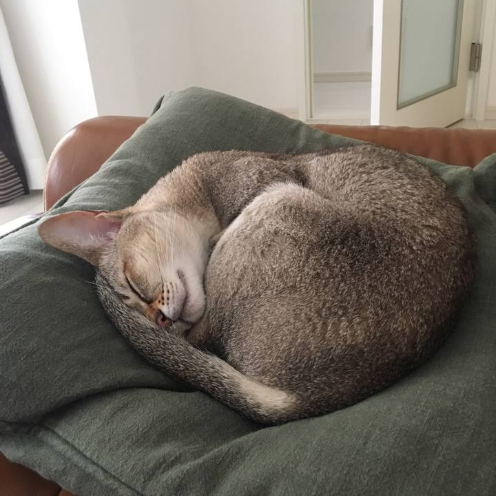 F5b8289f 7406 4d07 970a 1d7e203bd9d4