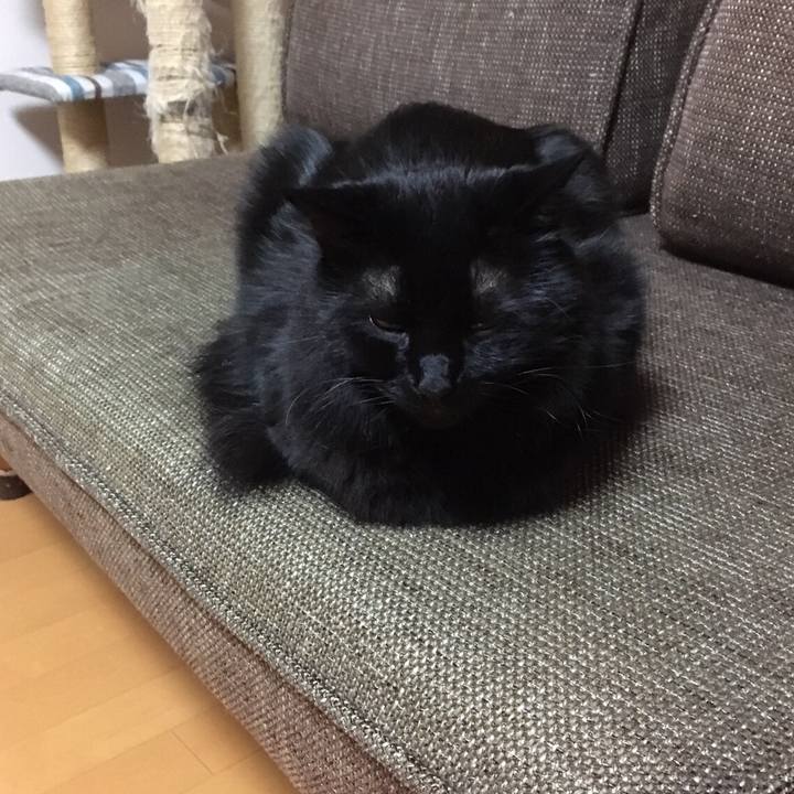 F5b8c20e 913b 46f9 a98a a25038eed069