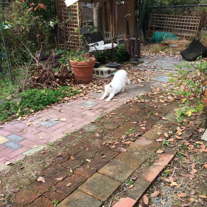 F5b8e214 38a6 473b 9330 b193e6bbed5b