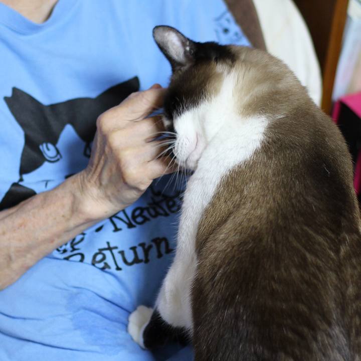 F5b96de2 cde3 4b4d beb5 58e3462806b5