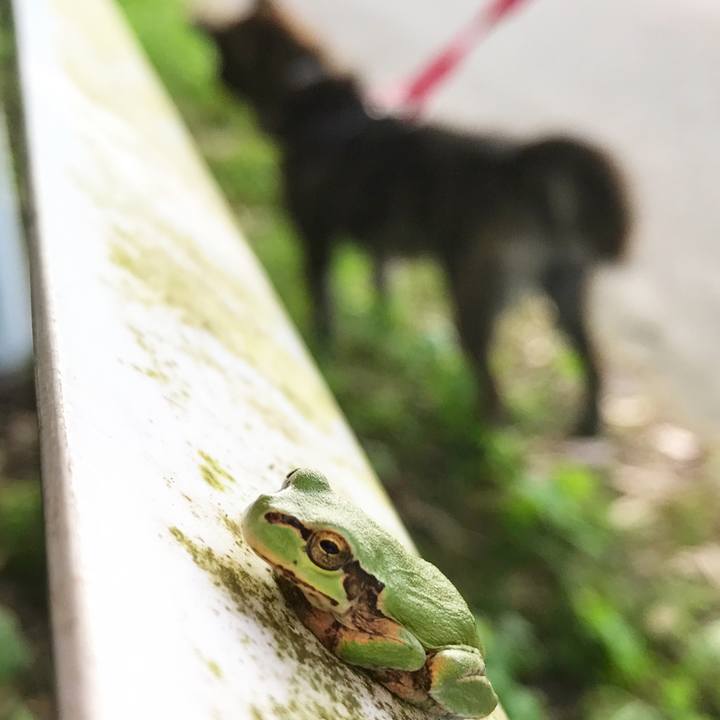 F5b9cb8c b92f 47b6 808d a8dfb6b3b7e7