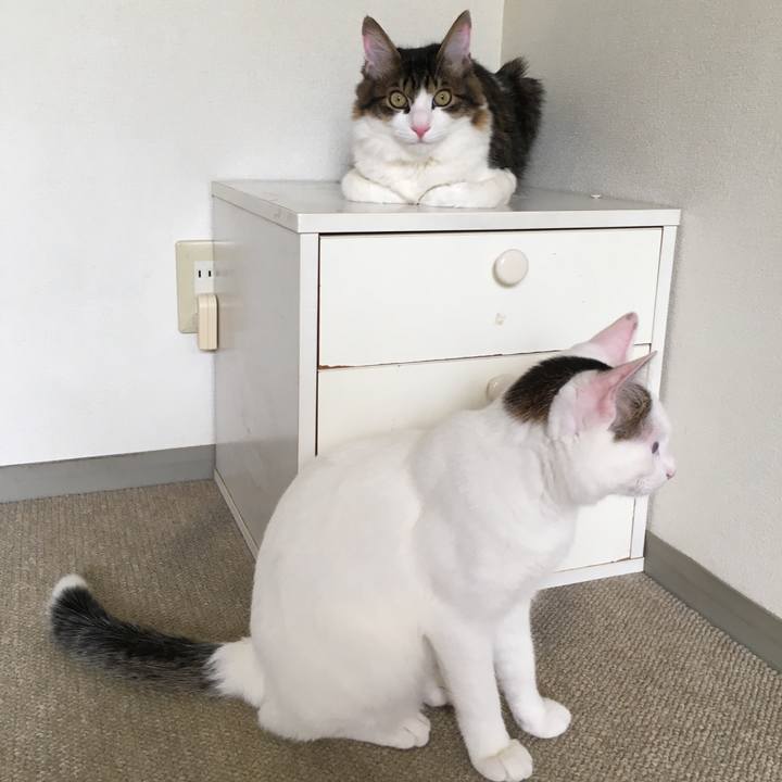 F5ba665d be20 4890 994e e1afb533759c