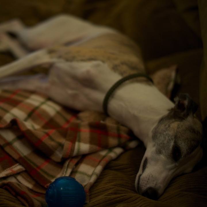 F5ba6c69 cf75 4345 8731 4e21cb966292