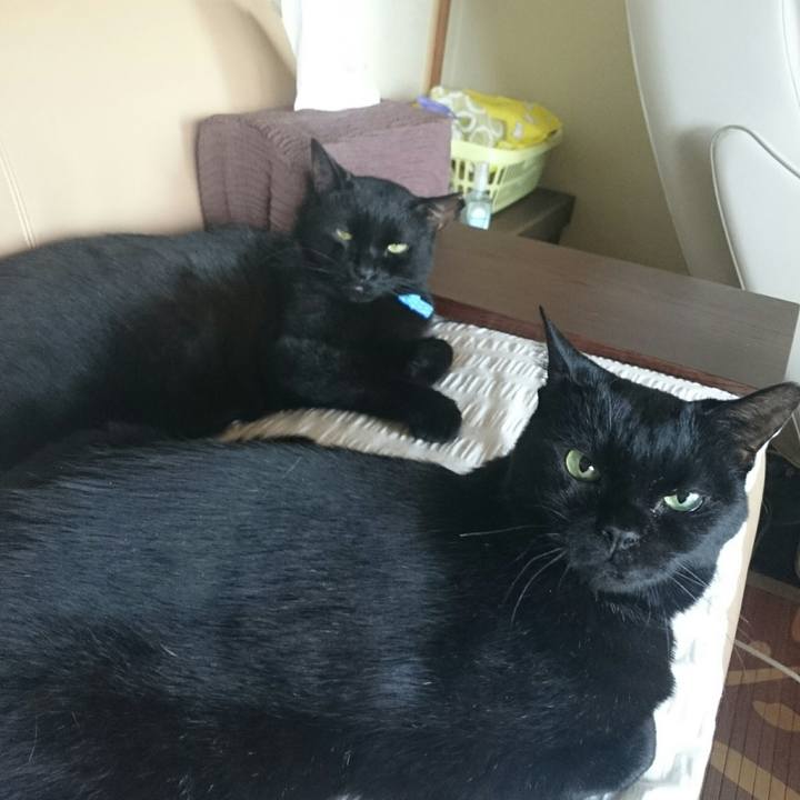 F5ba6f4d 937a 4003 a591 a24756e630be