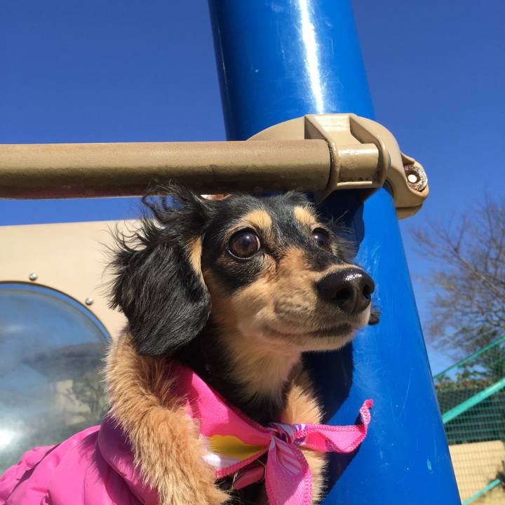 F5ba996c 2acc 428b aca8 57bd0a6fe462