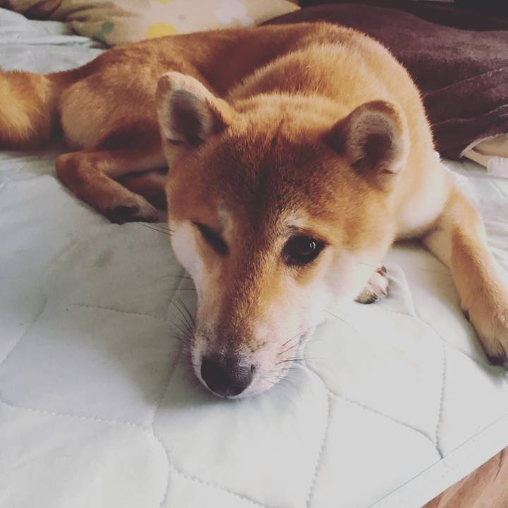 F5bac146 bd49 4bc4 a88b 89bd2c0838ce