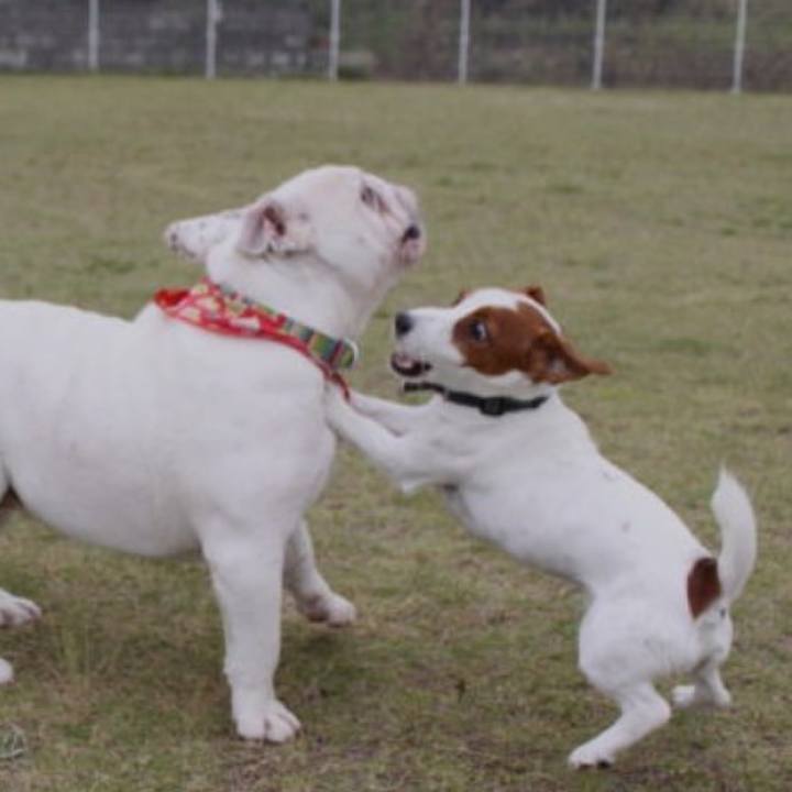 F5bb29bf d937 4d26 964d 1d956cc733d9