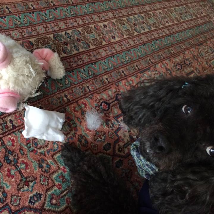 F5bb5064 814d 4257 8d78 82056ef3c4e5