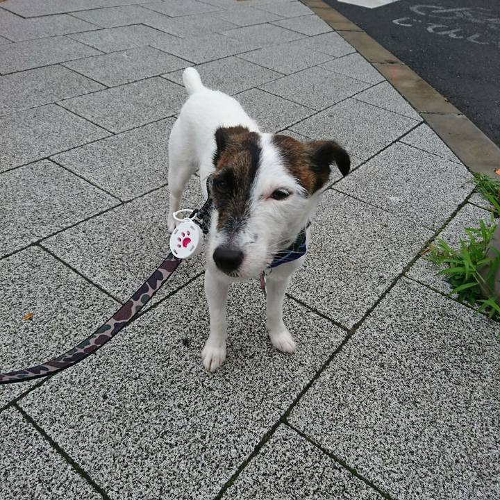 F5bbbf20 04f5 4d98 9bac d3aa8751bd94