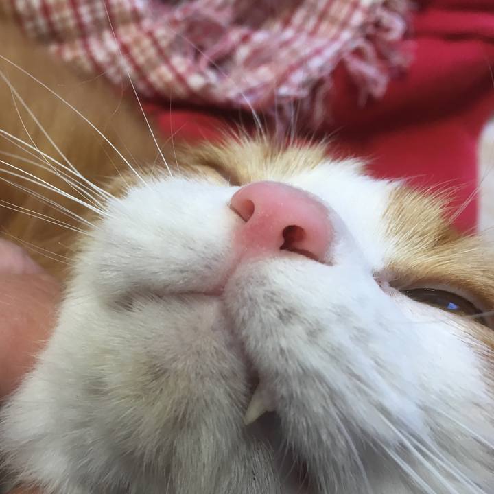 F5bbea15 005e 4d03 af4e 2b40977d5b94