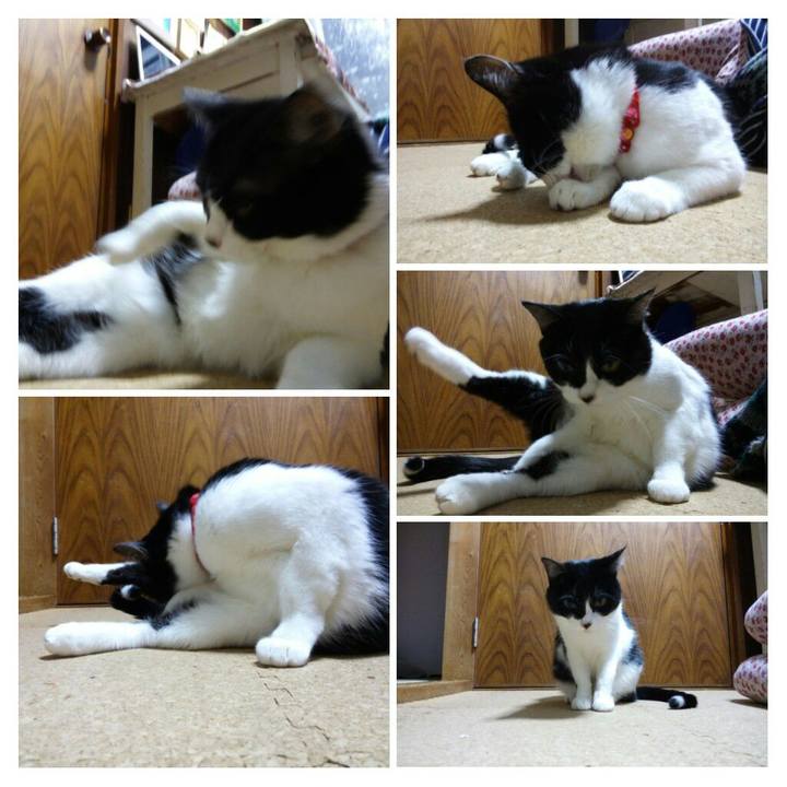 F5bc1b8a 0749 440c 9bcd 7e3daec6c8f3