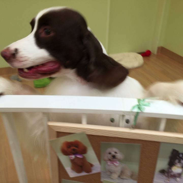 F5bc3eb9 ee9a 45d3 8ac9 774b6e09bbaf