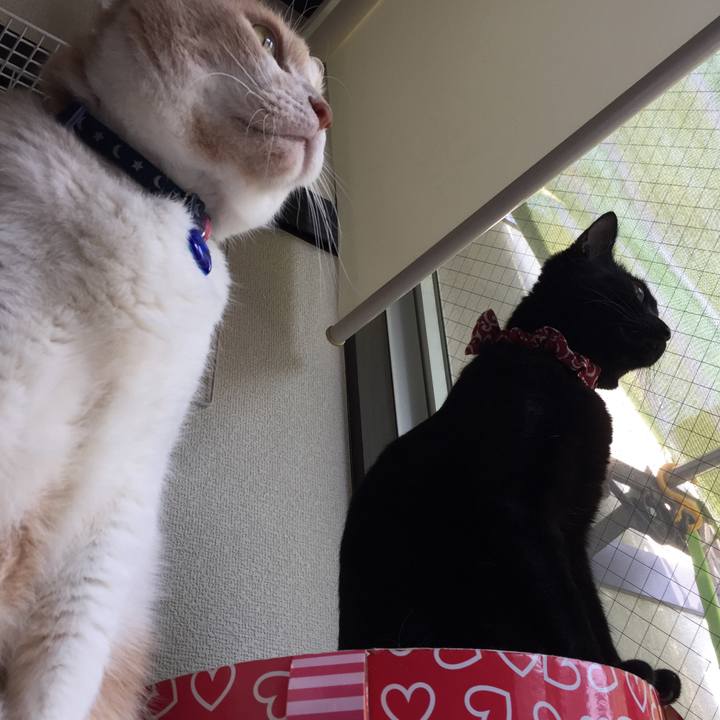 F5bcbf36 54ef 4dcf be0b 577e6b546ccf