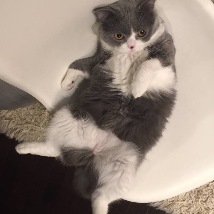 F5bcec25 8e62 41e1 8dac a436b1710dfb