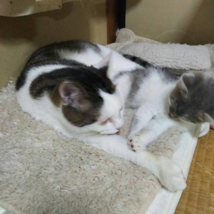 F5bd1625 cd76 4952 b08b b3026b66e97d