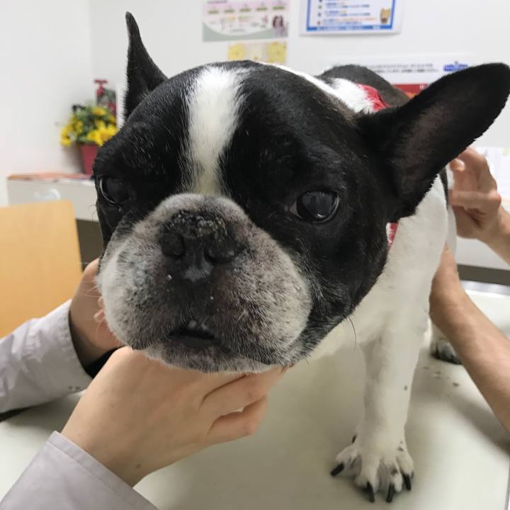 F5bd500e 12a6 4f59 aa33 e621ffe4b3aa