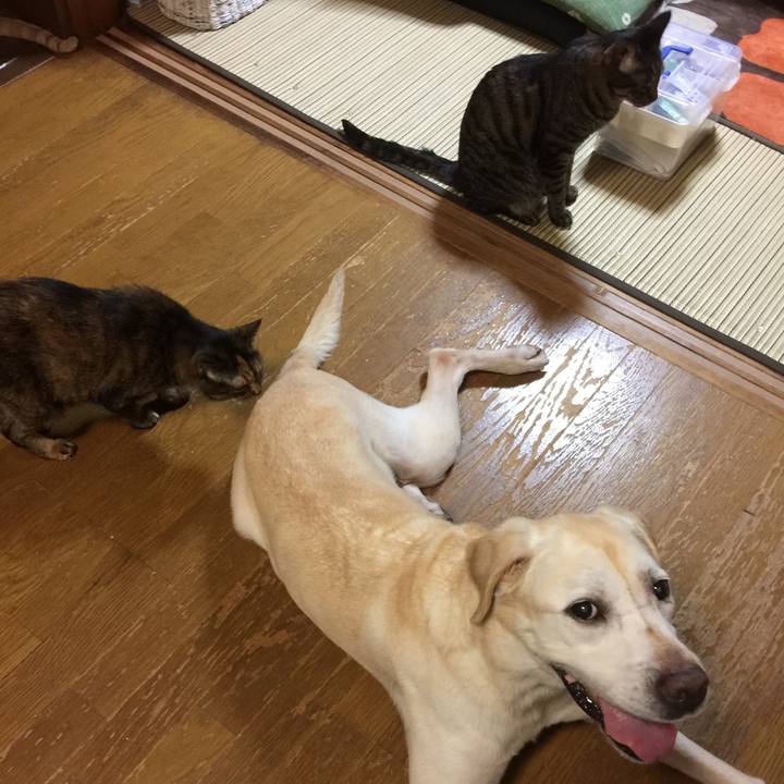 F5bd9576 0282 4fd9 a73e aef4620e977f