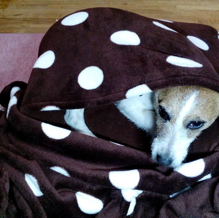 F5be0178 56fc 44f8 bb23 37dd1eab7aef