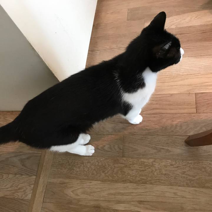 F5be0394 f3f2 4d5c a48c 0d6935b369f2