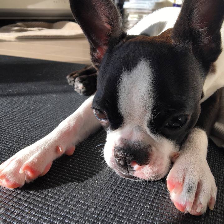 F5be302b 26ed 484b 870e d84b46002623